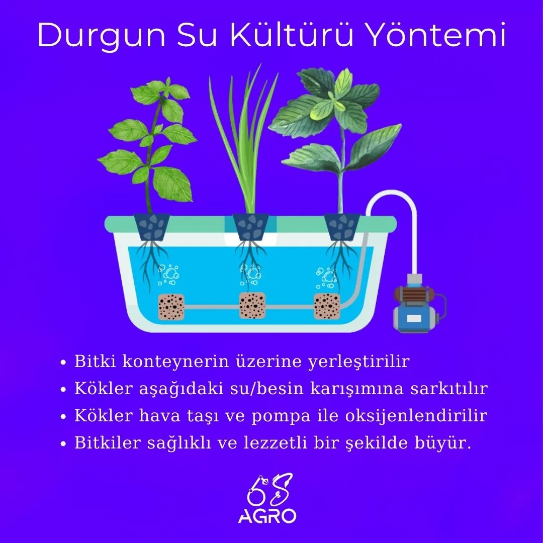 Topraksız Tarım Durgun Su Kültürü Yöntemi