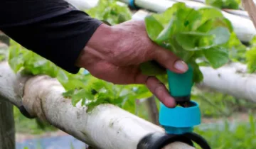 Sürdürebilir Tarımın Yeni Yolu